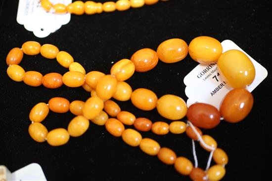 A single strand graduated oval amber bead necklace, 26in.